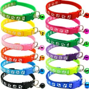Paw Design Pet Collar